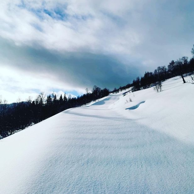 Snødekt skiløype