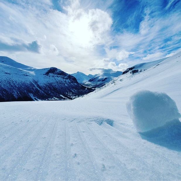 Skispor