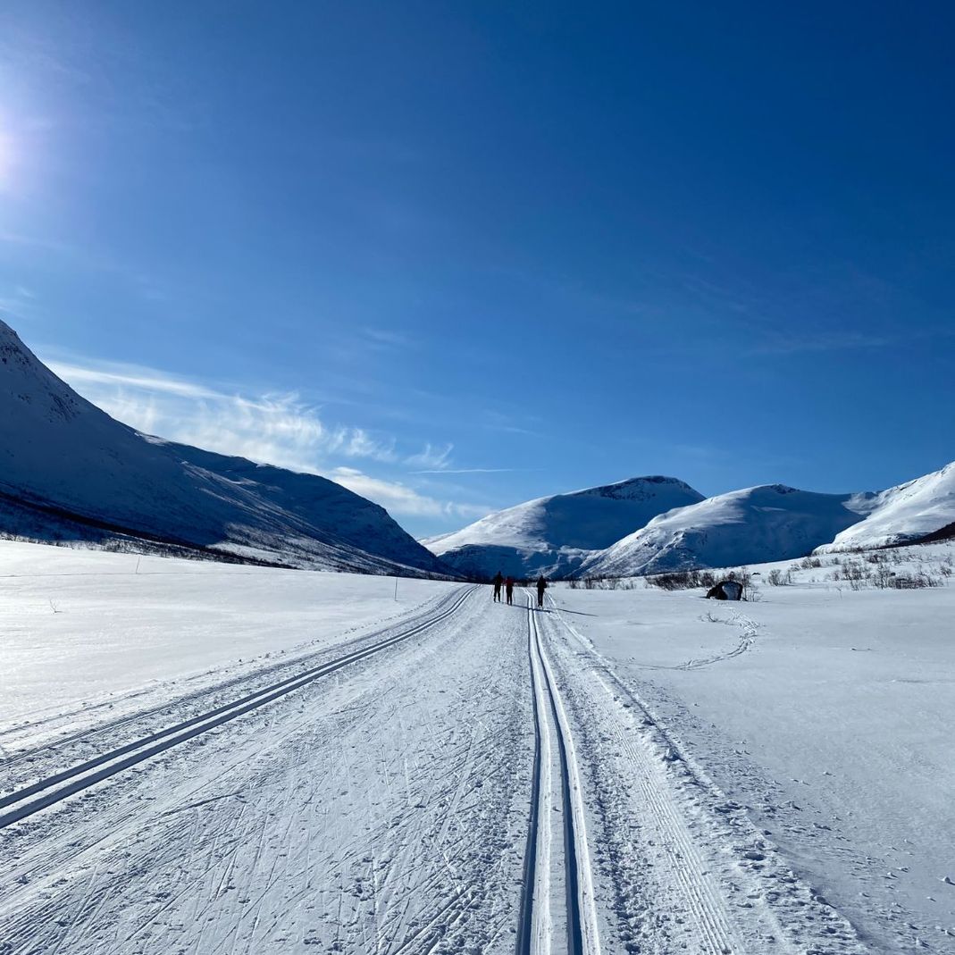 Skispor i løype